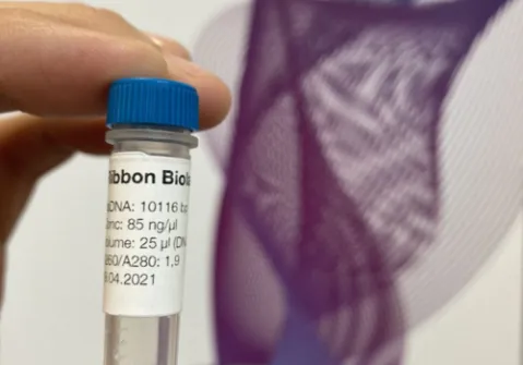 ribbon